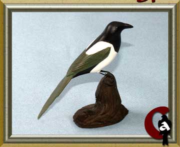 Common magpie - Pica pica